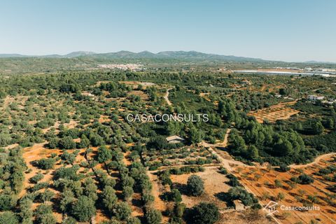 Landejendom i Vilafames, Castellon, Vilafames - € 110.000 | Ref: 818 - foto 18